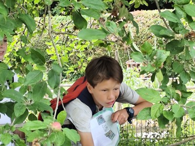 IMG 20250624 110654