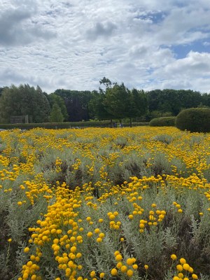IMG 20250624 WA0065