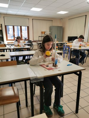 IMG 20260429 125425