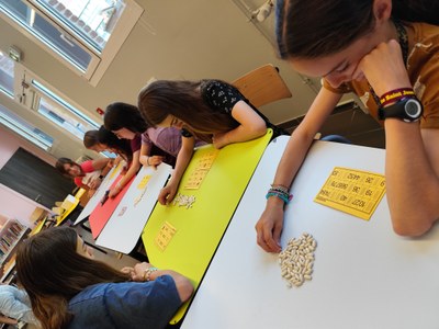 IMG 20250617 125209