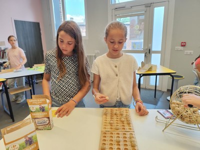 IMG 20250617 125324