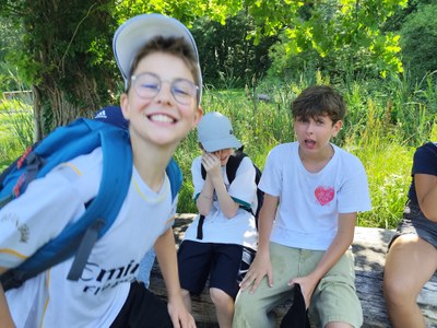 IMG 20260622 104728