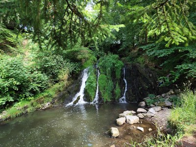 IMG 20260617 150141