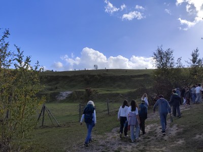 IMG 20261014 144854