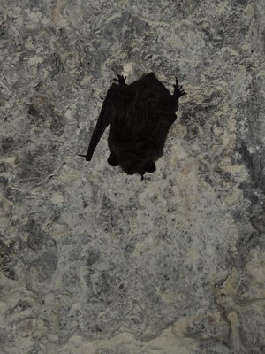 IMG 20261014 WA0099