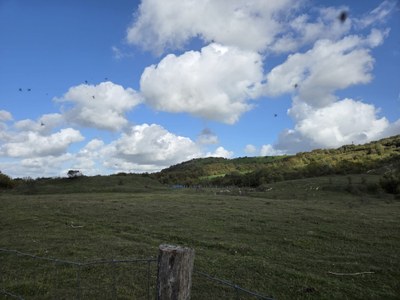IMG 20261014 WA0105