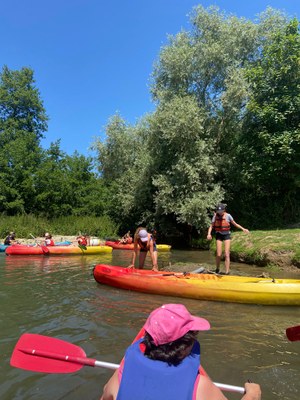 IMG 20250619 WA0108