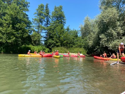 IMG 20250619 WA0109