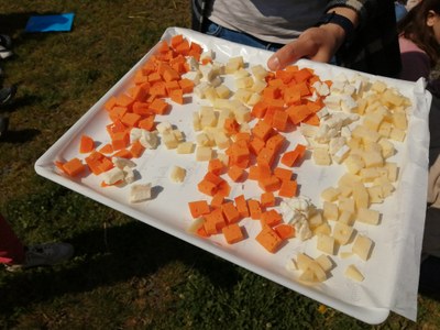 IMG 20240606 113137
