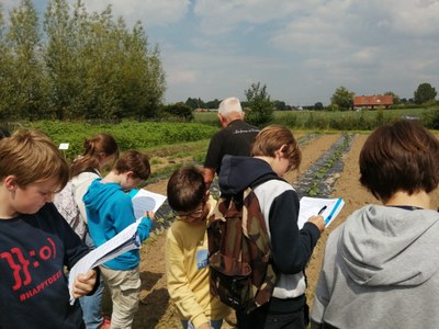 IMG 20240606 150000